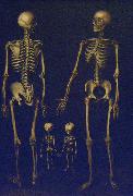 Skeleton Family